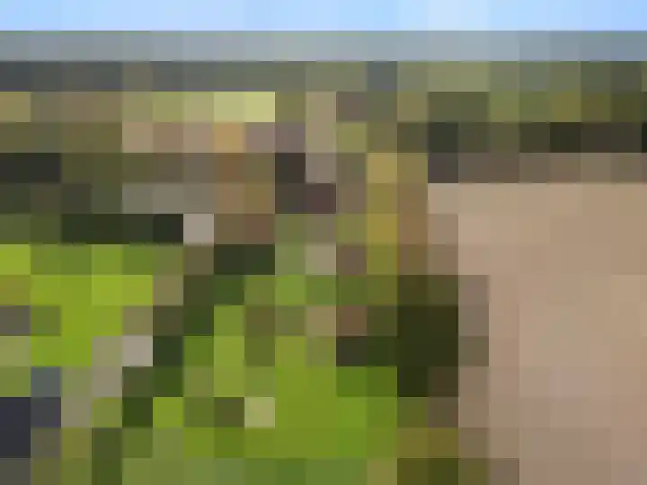 Roekelseweg 15 Wekerom thumbnail 72