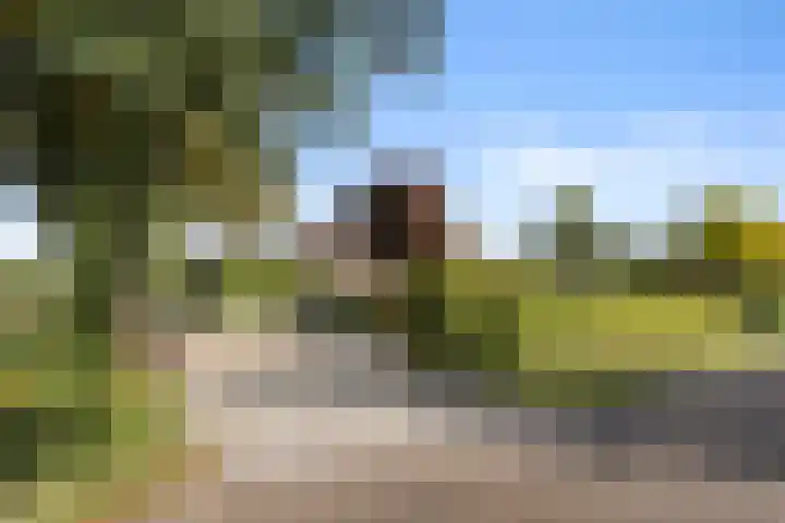 Roekelseweg 15 Wekerom thumbnail 75