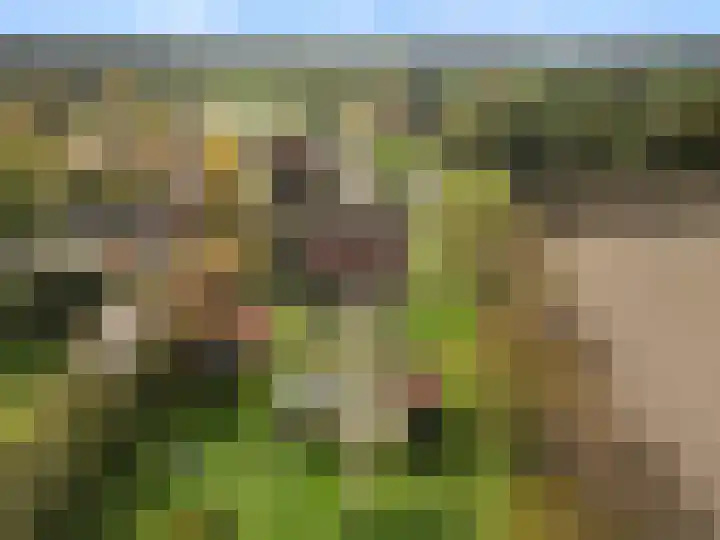 Roekelseweg 15 Wekerom thumbnail 77
