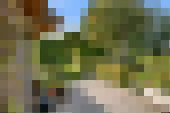 Roekelseweg 15 Wekerom thumbnail 8