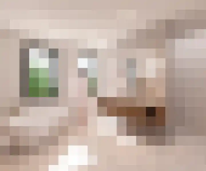 Roeklaan 7 Almere thumbnail 5