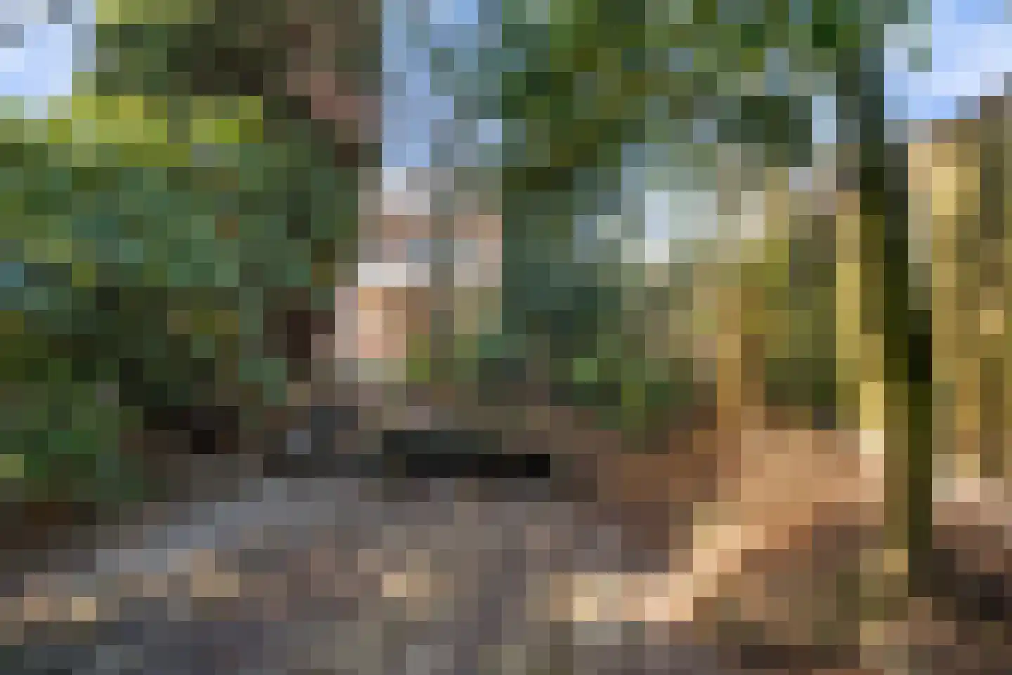 Roelantlaan 36 Eindhoven thumbnail 38