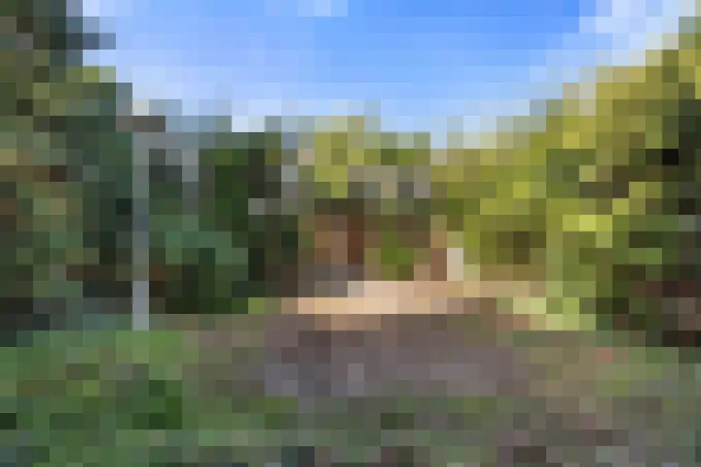 Roelantlaan 36 Eindhoven thumbnail 40