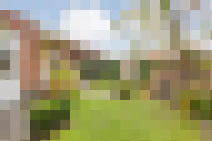 Roelofsbrink 24 Den Ham thumbnail 39