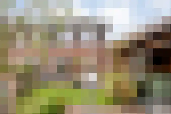 Roelofsbrink 24 Den Ham thumbnail 41