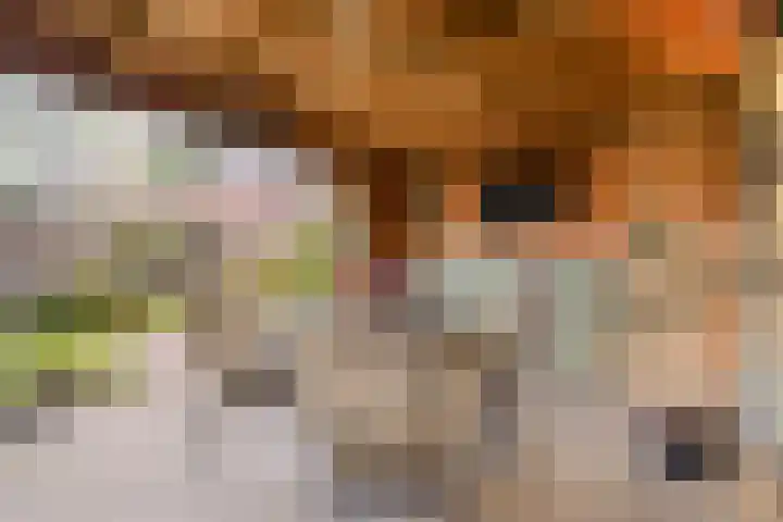 Roelofsbrink 24 Den Ham thumbnail 42