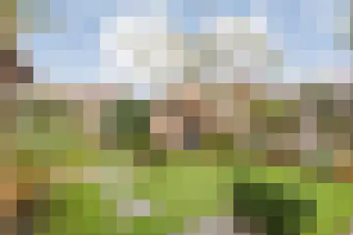 Roelofsbrink 24 Den Ham thumbnail 47