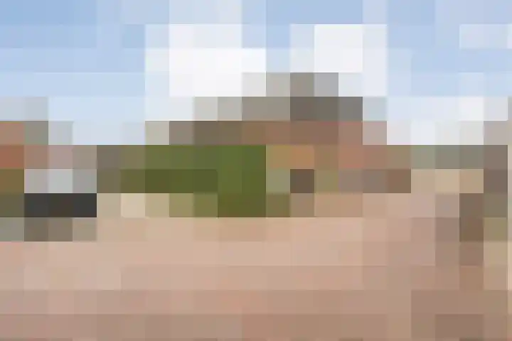 Roelofsbrink 24 Den Ham thumbnail 48