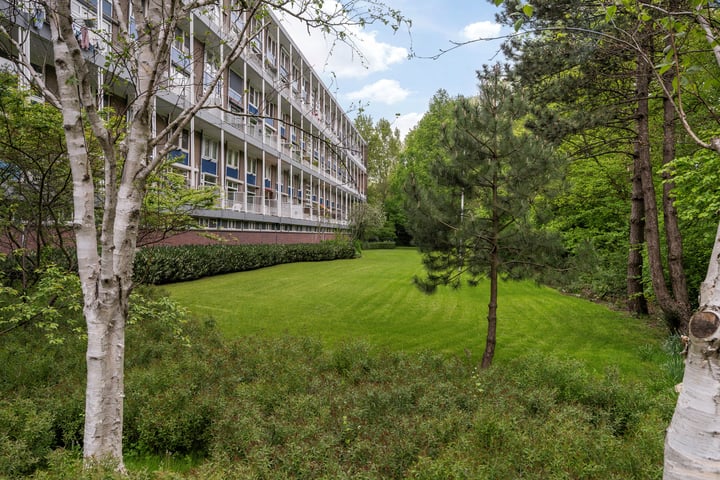 Roemer Visscherstraat 132 in Vlaardingen foto