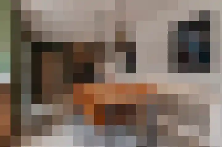 Roemershof 9 Tricht thumbnail 6
