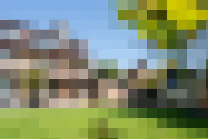 Roerdomp 1 Ridderkerk thumbnail 10