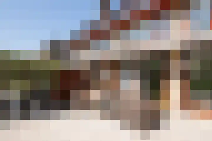 Roerdomp 1 Ridderkerk thumbnail 12