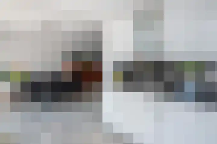 Roerdomp 1 Ridderkerk thumbnail 17