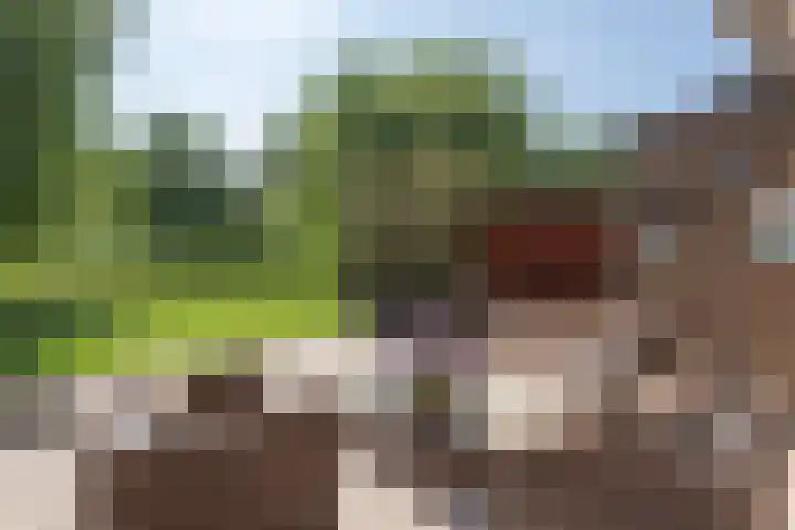 Roerdomp 1 Ridderkerk foto 2