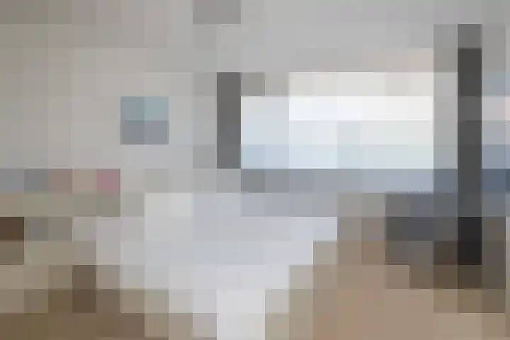 Roerdomp 1 Ridderkerk thumbnail 23