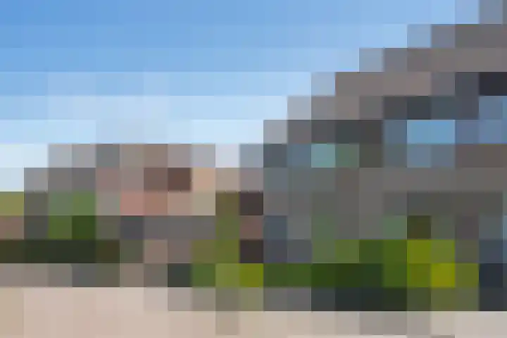 Roerdomp 1 Ridderkerk thumbnail 37