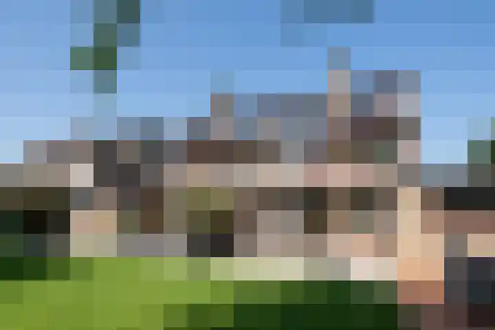 Roerdomp 1 Ridderkerk thumbnail 4