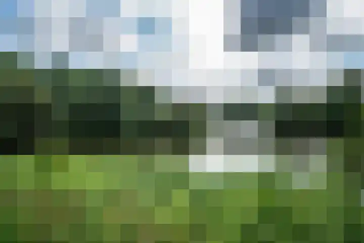 Roerdomp 1 Ridderkerk thumbnail 40