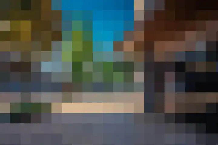 Roerdomp 1 Ridderkerk thumbnail 41
