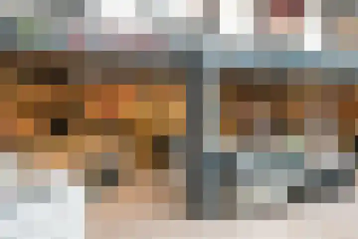 Roerdomp 1 Ridderkerk thumbnail 43