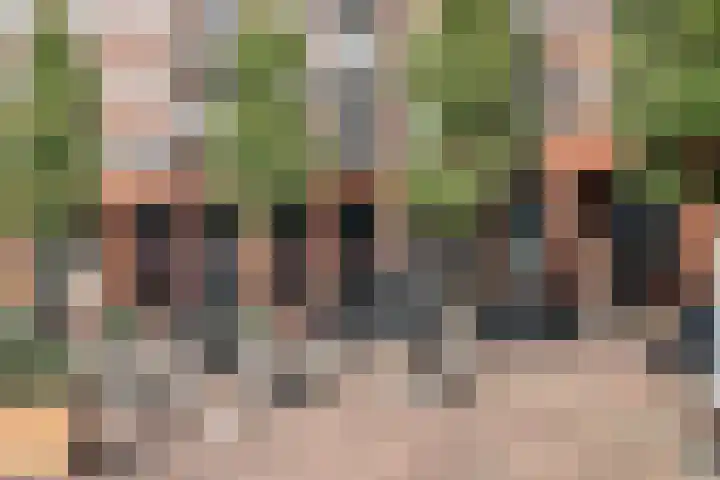Roerdomp 1 Ridderkerk thumbnail 44