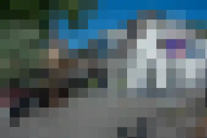 Roerdomp 1 Ridderkerk thumbnail 48