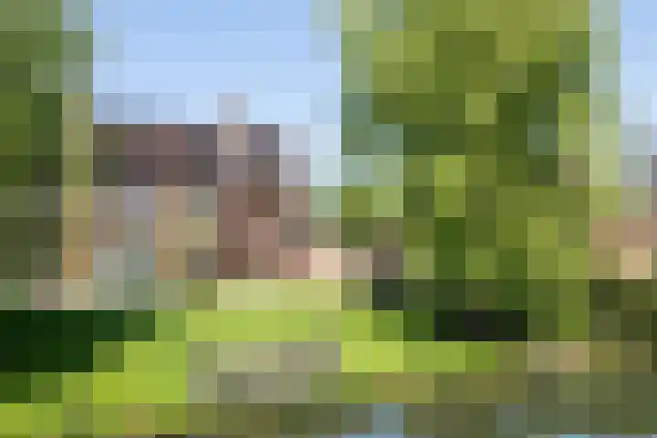 Roerdomp 1 Ridderkerk thumbnail 49