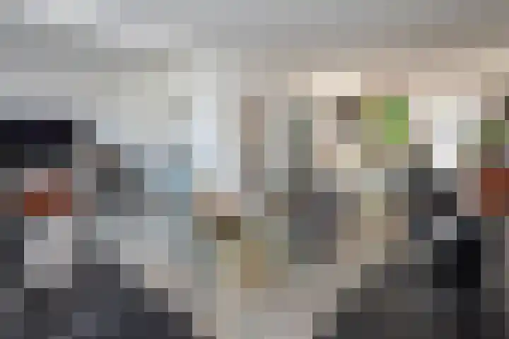 Roerdomp 1 Ridderkerk thumbnail 5