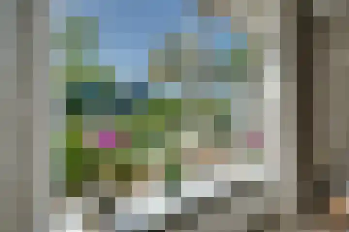 Roerdomp 10 Ilpendam thumbnail 11