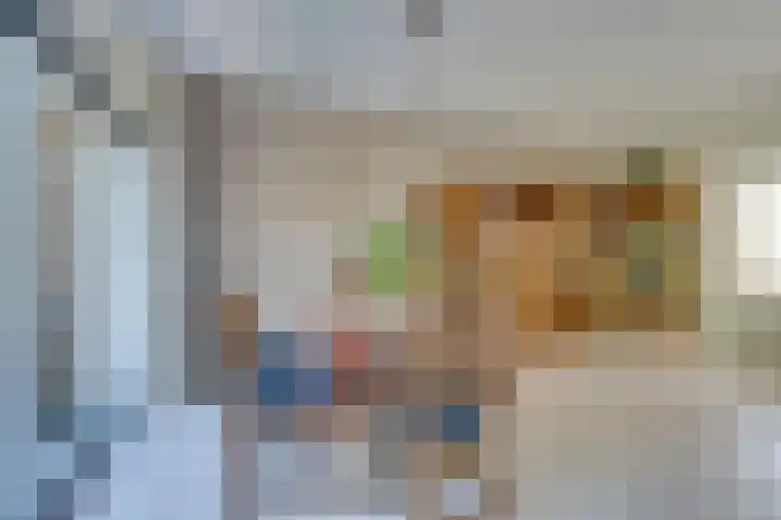 Roerdomp 10 Ilpendam thumbnail 12