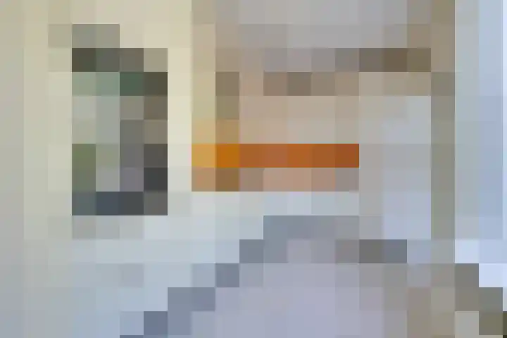 Roerdomp 10 Ilpendam thumbnail 13