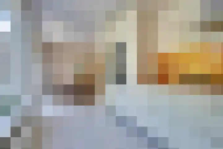 Roerdomp 10 Ilpendam thumbnail 14