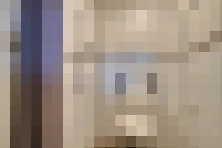Roerdomp 10 Ilpendam thumbnail 16