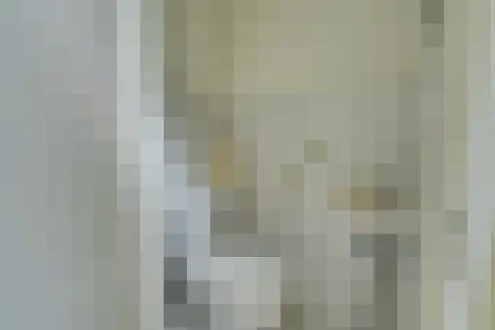 Roerdomp 10 Ilpendam thumbnail 18