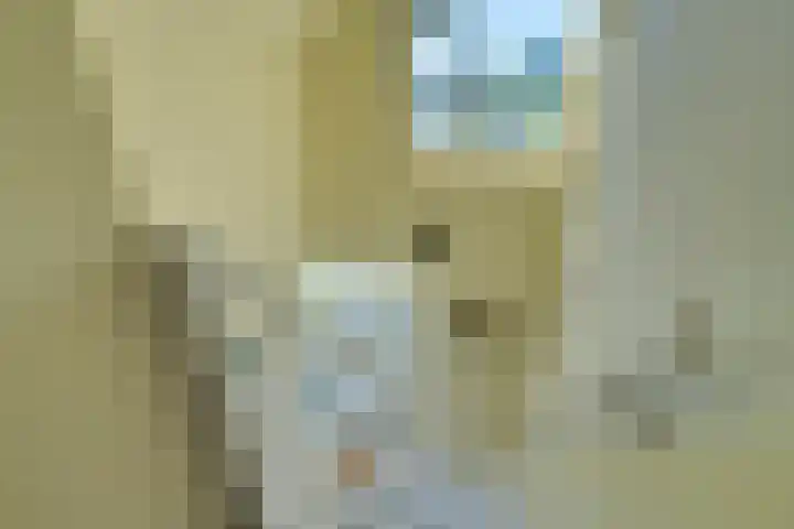 Roerdomp 10 Ilpendam thumbnail 19