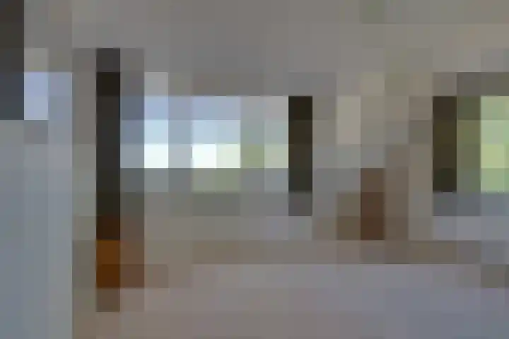 Roerdomp 10 Ilpendam thumbnail 20