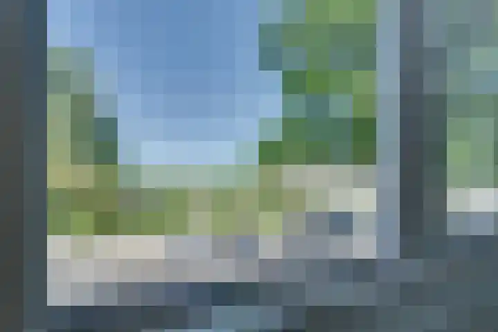 Roerdomp 10 Ilpendam thumbnail 21
