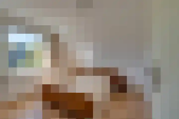 Roerdomp 10 Ilpendam thumbnail 22