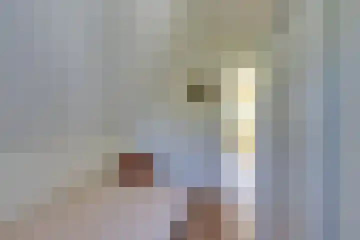 Roerdomp 10 Ilpendam thumbnail 23