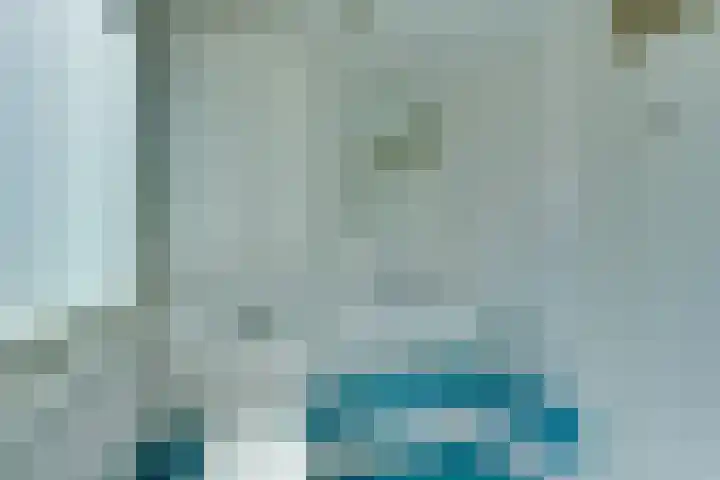 Roerdomp 10 Ilpendam thumbnail 25