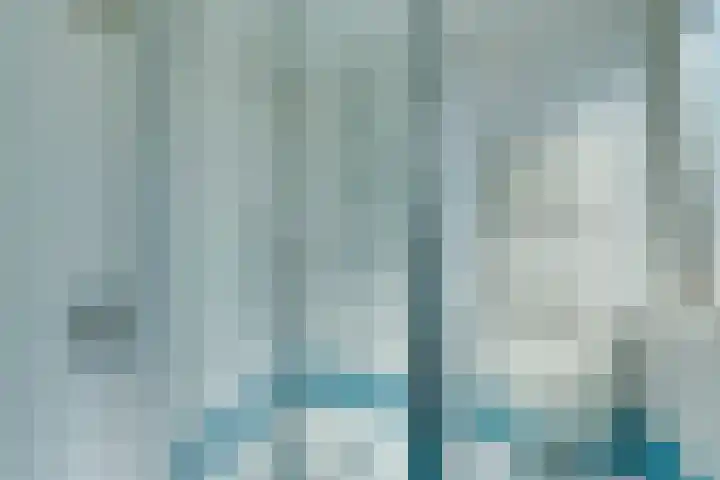 Roerdomp 10 Ilpendam thumbnail 26