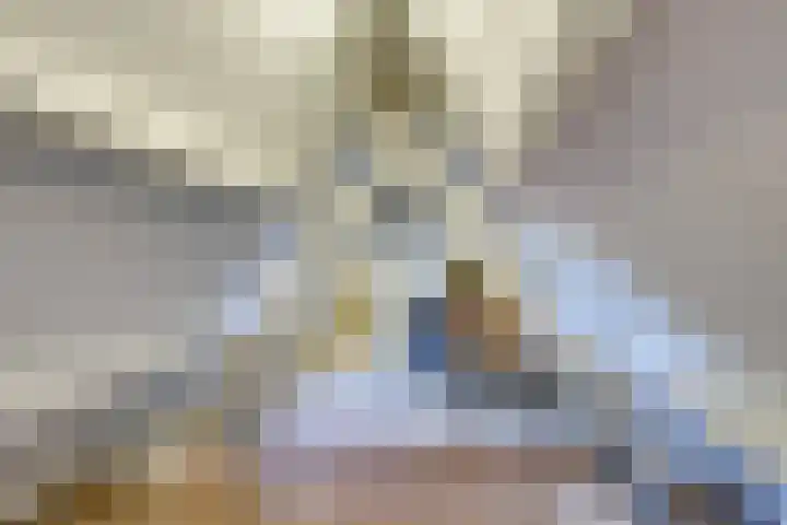 Roerdomp 10 Ilpendam thumbnail 27
