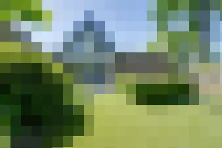Roerdomp 10 Ilpendam thumbnail 28