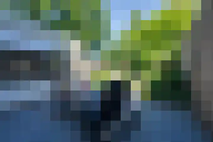 Roerdomp 10 Ilpendam thumbnail 29