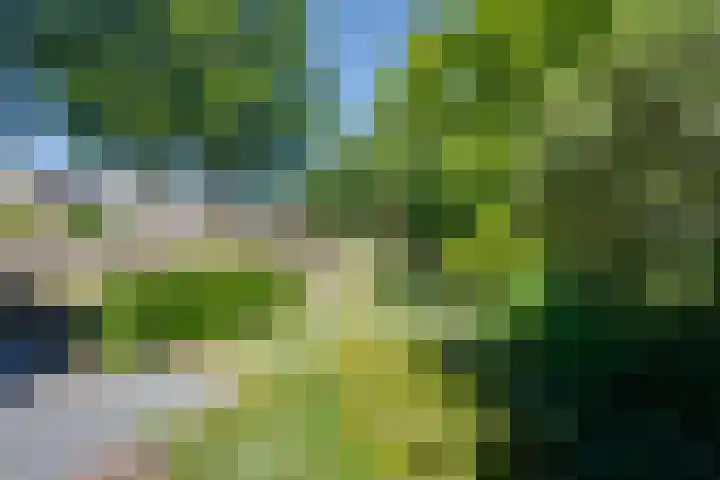 Roerdomp 10 Ilpendam thumbnail 31