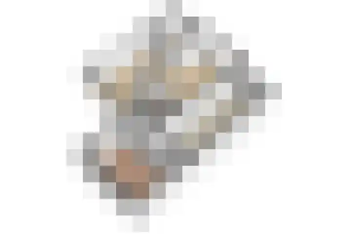 Roerdomp 10 Ilpendam thumbnail 33
