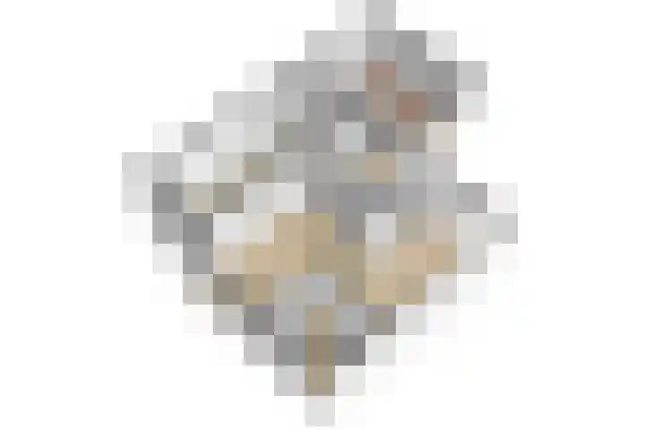 Roerdomp 10 Ilpendam thumbnail 34