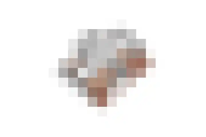 Roerdomp 10 Ilpendam thumbnail 39