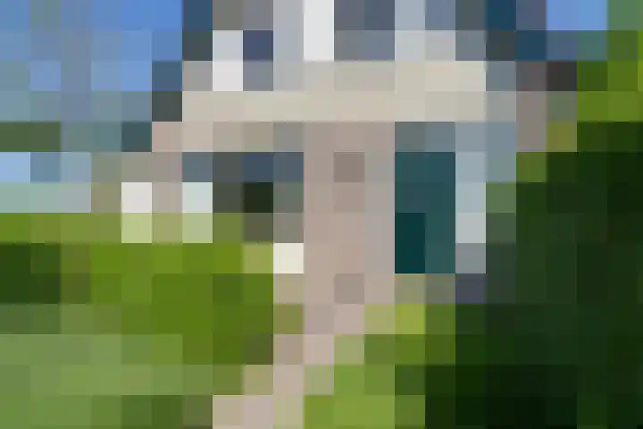 Roerdomp 10 Ilpendam thumbnail 6