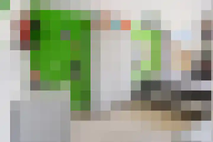 Roerdomp 19 Etten-Leur thumbnail 19
